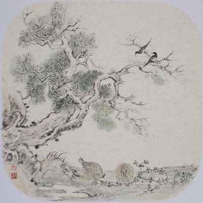 十二生肖-兔